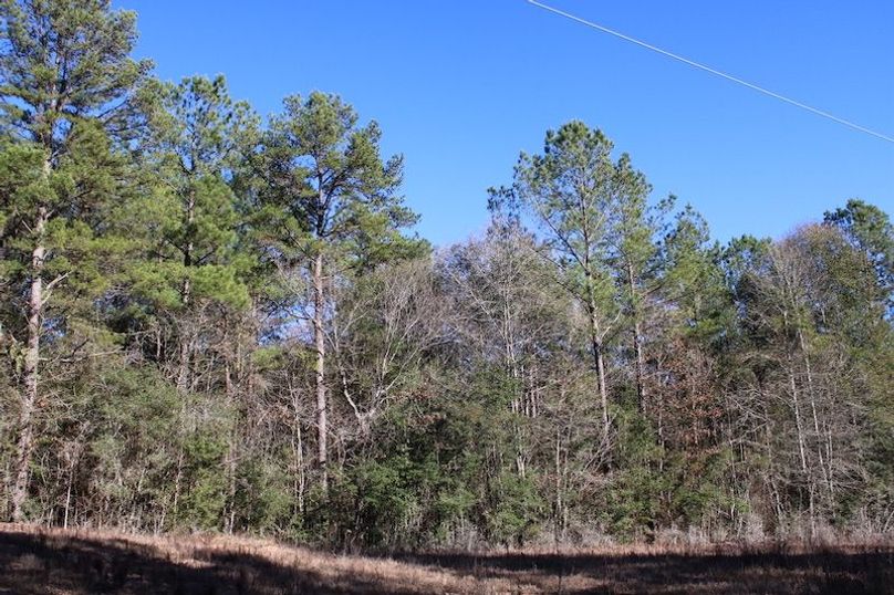 ED7CBA48-82BD-4D14-BE4C-424C0989F31F_1_105_c