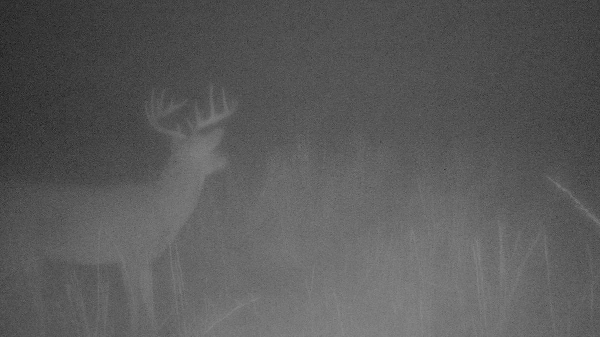 Small Hunting Acreage In Oklahoma Whitetail Properties