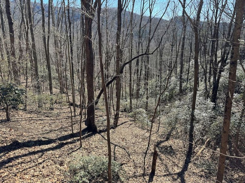 Cherokee 118.85 Harris Top-24