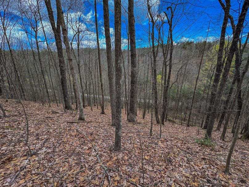Wirt, WV 62.5 AC Full-27