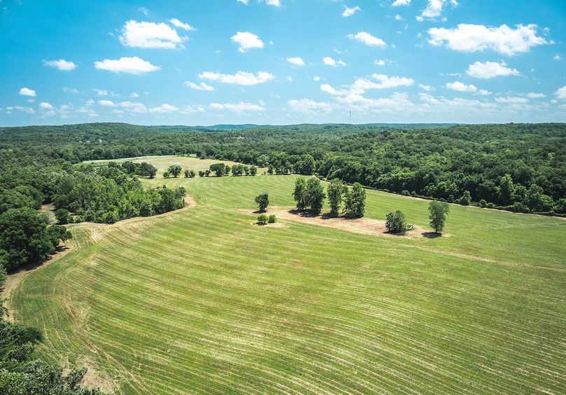 DJI_20250621134327_0656_D