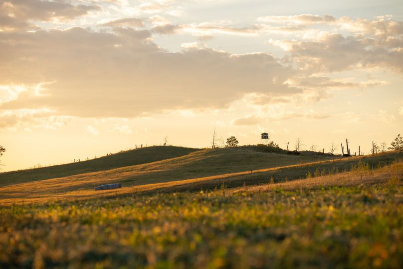 cKeya Paha NE 2700_Pro Photo-95