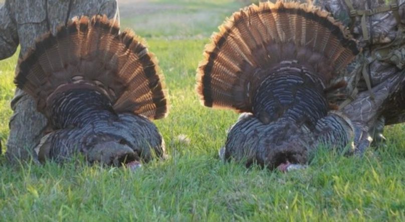 Screen Shot 2025-10-07 at 11.38.01 AM