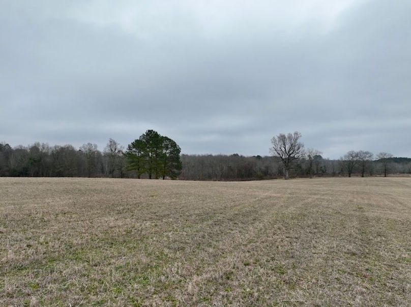 dji_fly_20260210_104102_246_1770738279828_photo