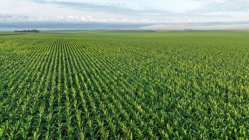 Copy of Copy of DJI_0348