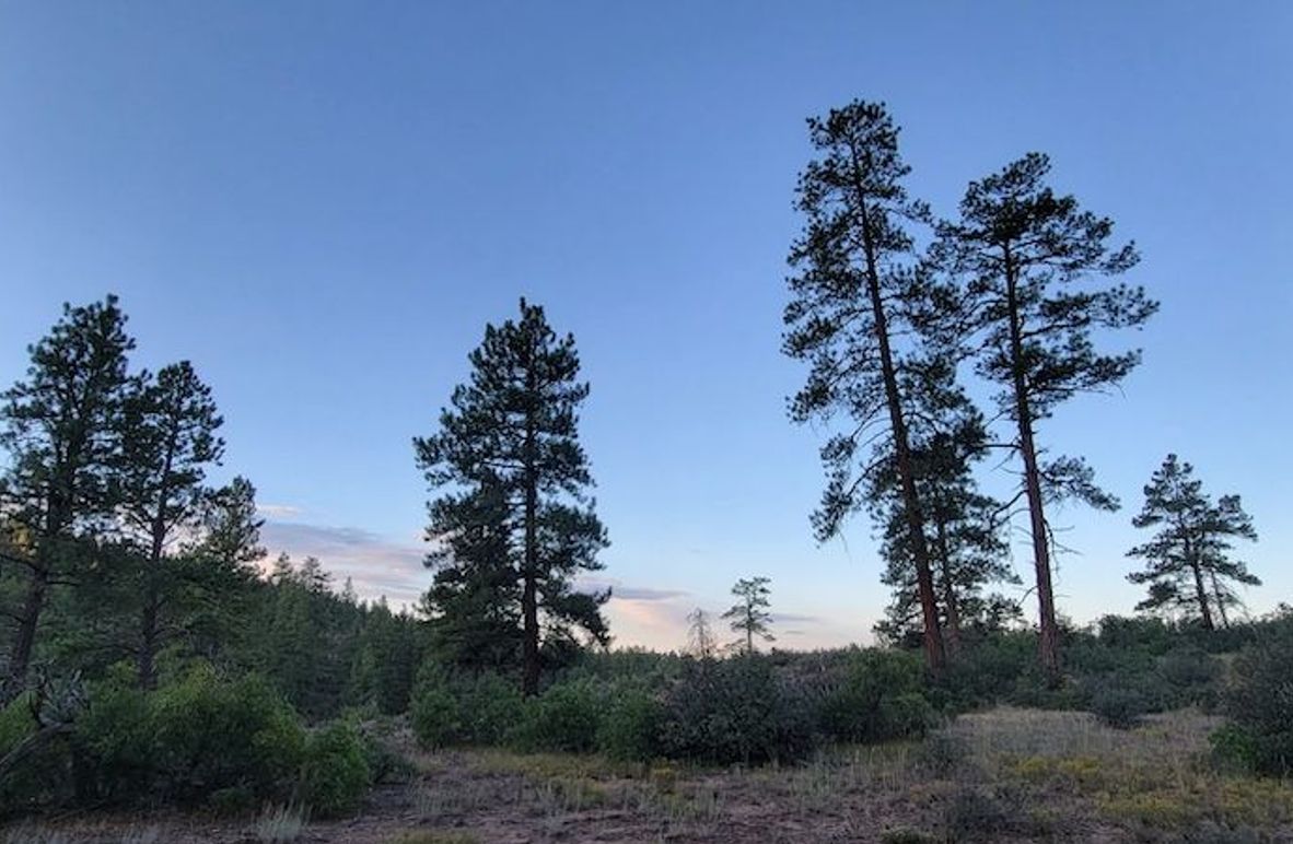 Copy of 20210827_070526