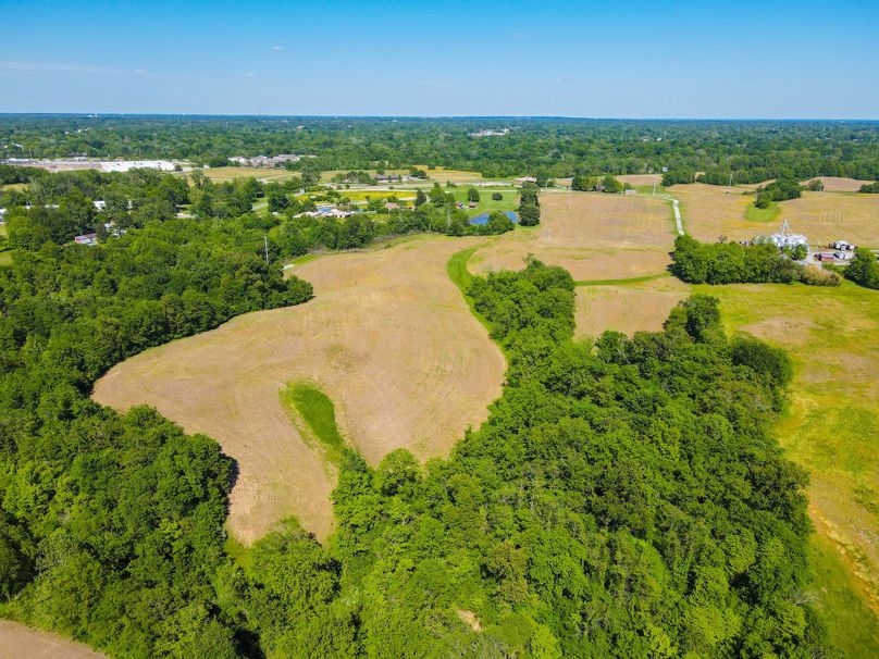 Copy of st clair 25 auction(6)