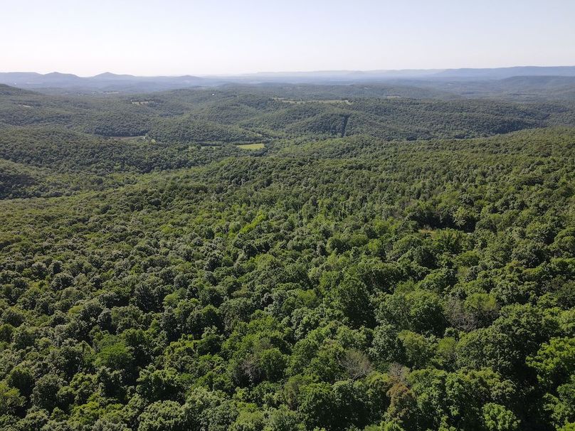 DJI_0414