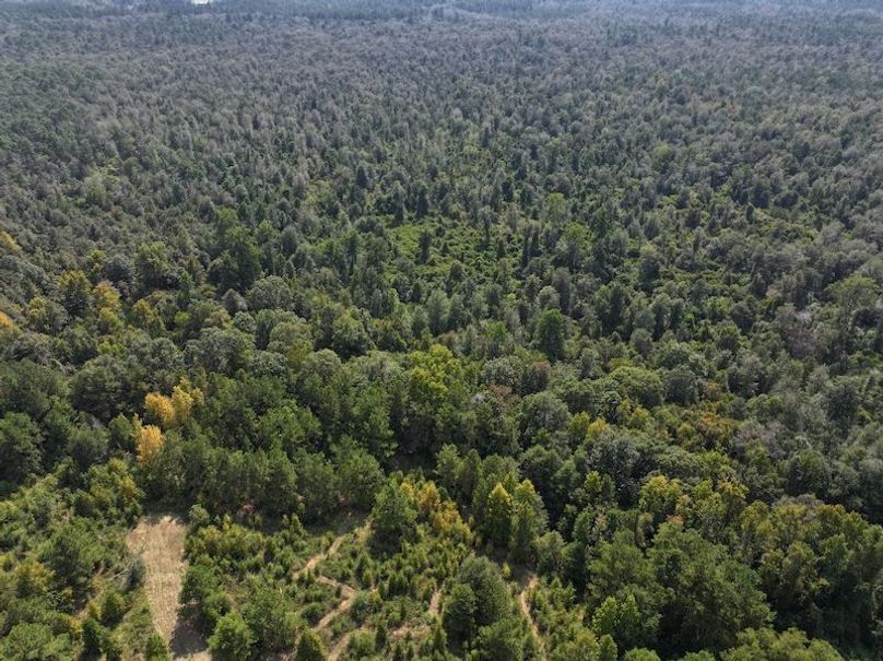 dji_fly_20250915_151152_0469_1758029012879_photo