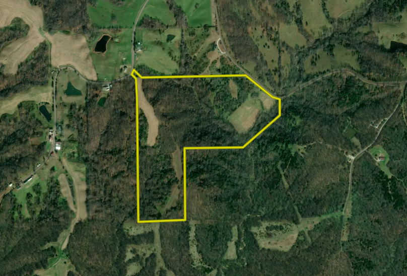 Screenshot 2024-01-31 at 1.57.30 PM