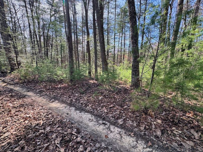 009 views from the path 