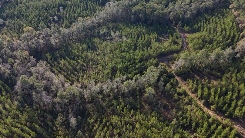 DJI_20231213151701_0016_D