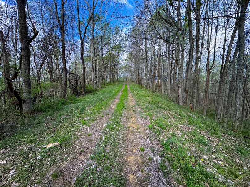 Calhoun, WV 132.84 AC Szegi 2-130