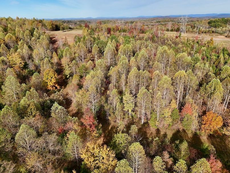 DJI_20251024101038_0012_D