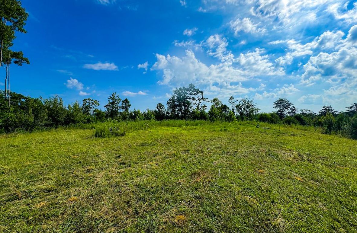 Lewis, WV 82.87 AC Barger-062