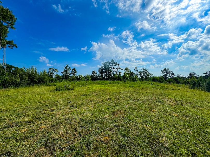 Lewis, WV 82.87 AC Barger-062