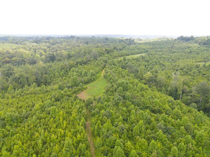 dji_fly_20250729_121926_755_1753805987533_photo