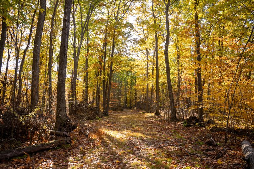 Elk PA 7000 Feature_Pro Photo-97