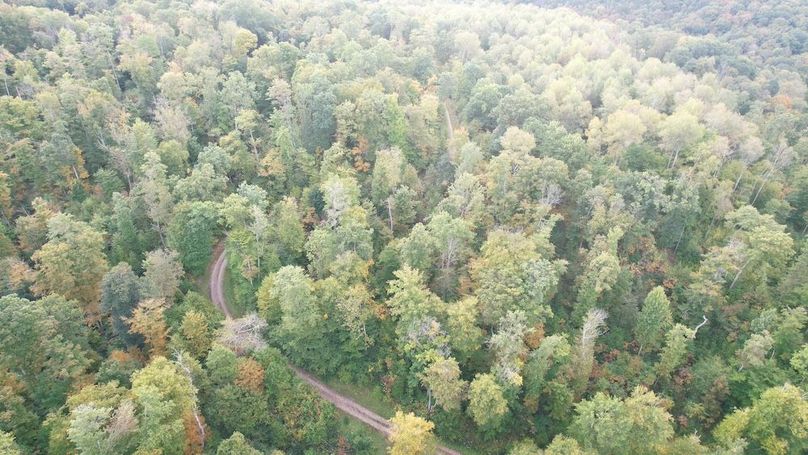 dji_fly_20240919_084818_659_1726752735952_photo