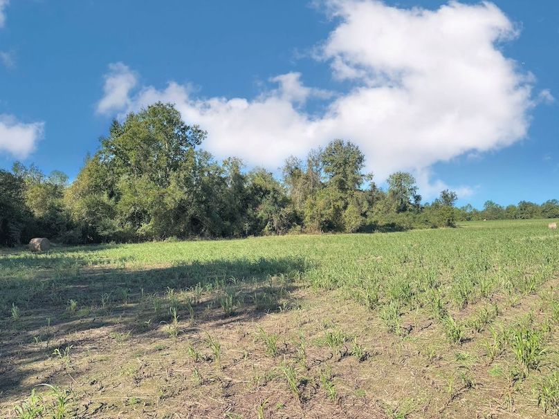 BBD14658-B8AB-4EC1-B151-433AEFC8A06D