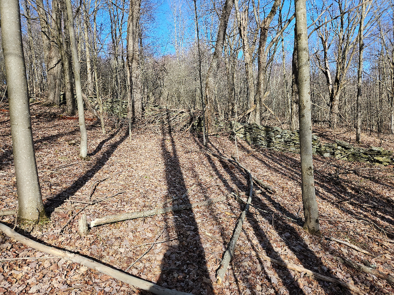 photo_1e26c671-8cbe-48e6-ba48-b81a82a4d823