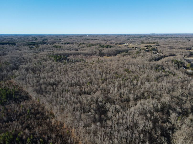 dji_fly_20240129_091830_759_1706537982581_photo