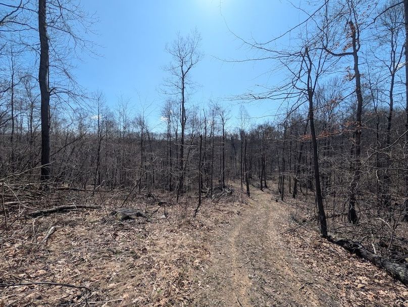 PXL_20260326_165911197.MP