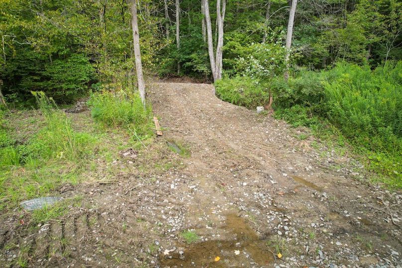 Chemung_60.55_Baumunk_Photos_4