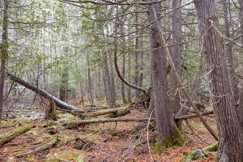 Mackinac 31.5 Noteboom-1702