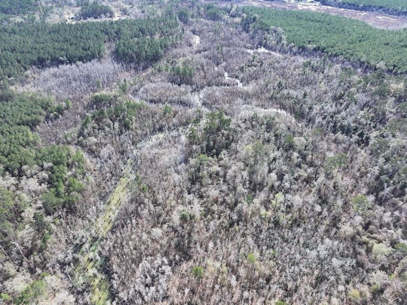 dji_fly_20260112_124458_0825_1768323786305_photo