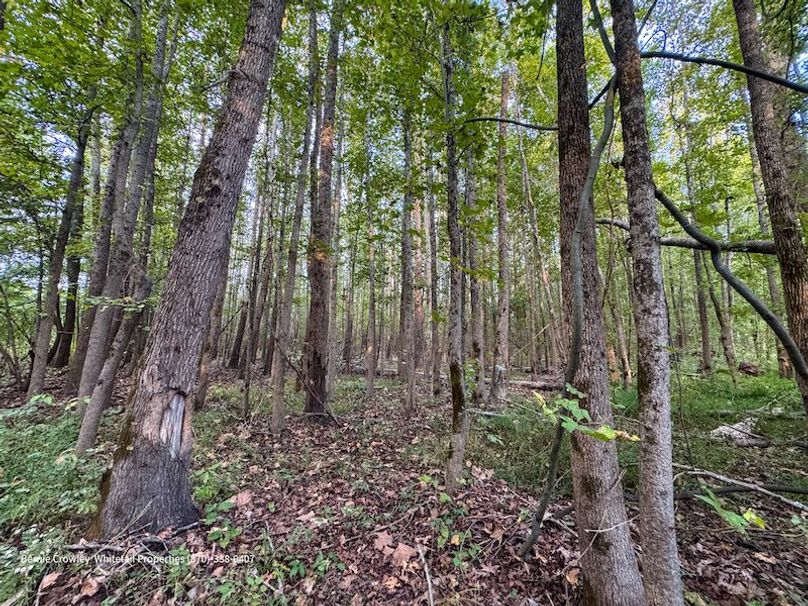 DeSoto 329 Prewett (Thompson) -24