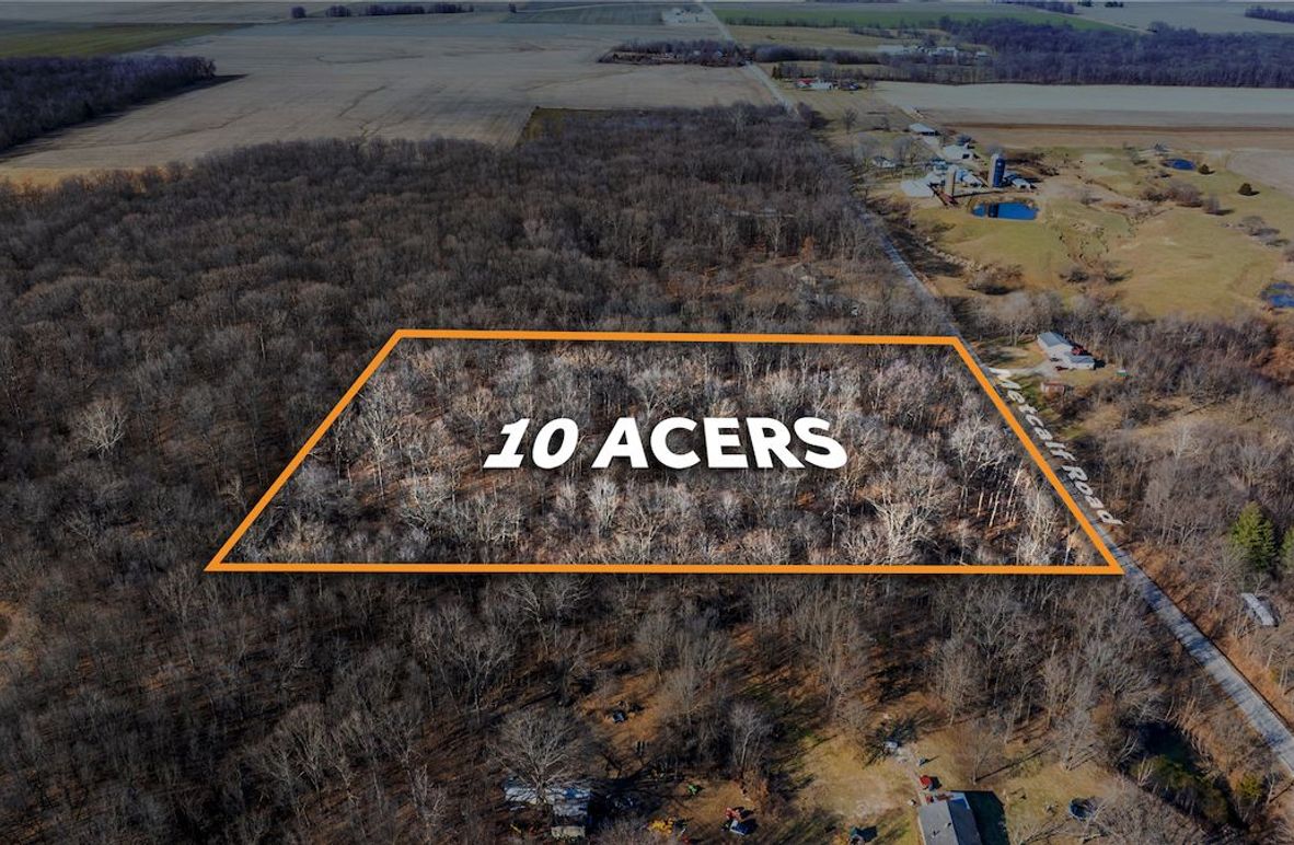 DJI_20250303154922_0004_D_orange