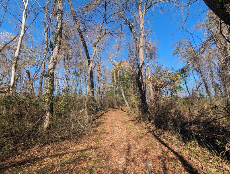 PXL_20231103_152532011