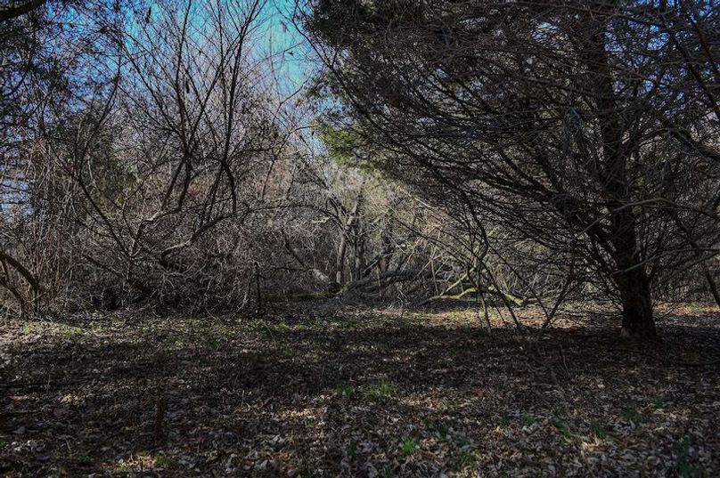 vandalia 450 (2)-1700