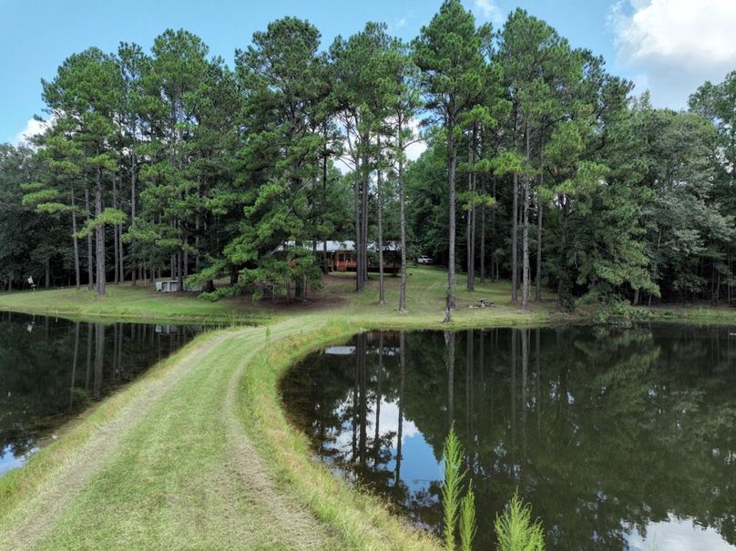 47347D28-1180-4E68-8328-6B3229C54C5A-2