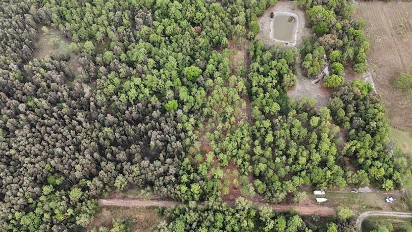 DJI_20260118094430_0177_D