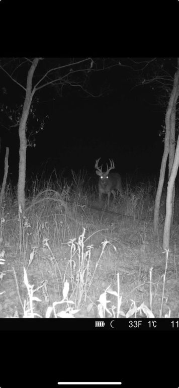 Screenshot 2023-11-12 at 4.38.47 PM Large