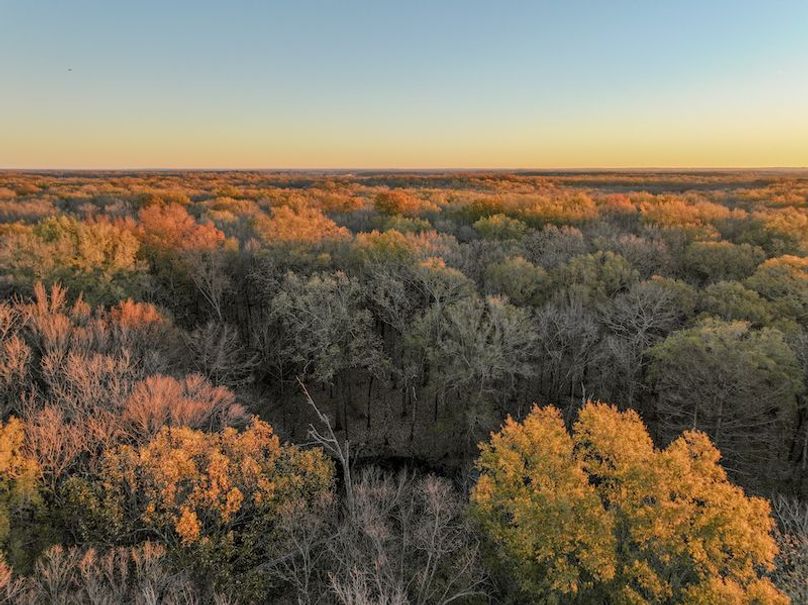 St. Francis 216.9 Calvin Parker Farms Profile -42