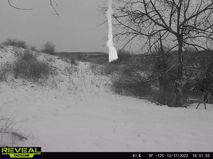 Messenger_creation_6E740711-BA7E-4D8B-A377-8BDA95E61057