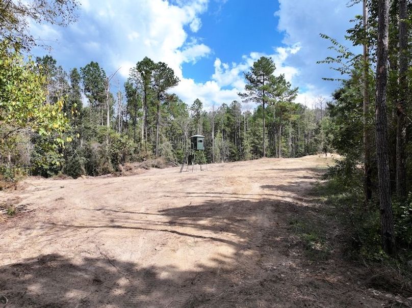 dji_fly_20251001_140702_0610_1759492692368_photo