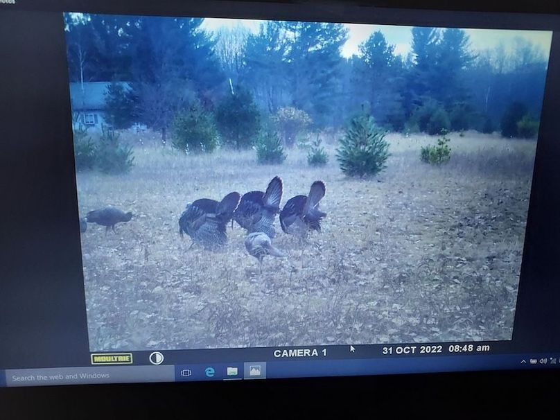 Resized_20221112_195202