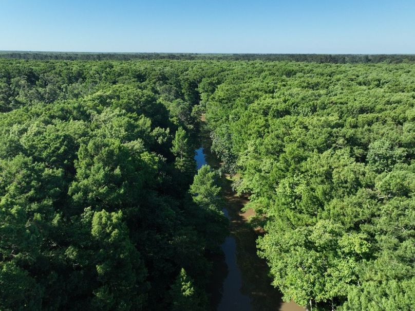 dji_fly_20260513_102340_447_1778687610390_photo
