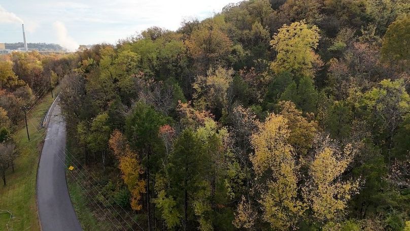 DJI_20251030175002_0515_D