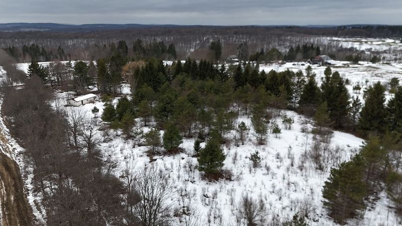 16 DJI_20260115004852_0004_D