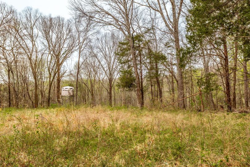 31-web-or-mls-Wolf Hill-9