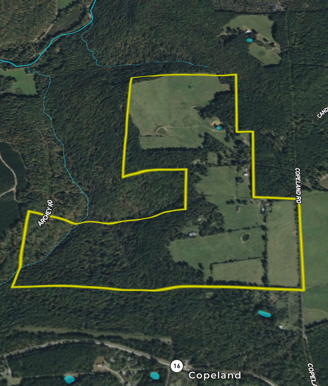 Screenshot 2025-12-13 at 11.08.02 AM