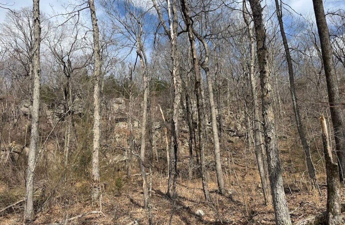 stone8020260306_0074