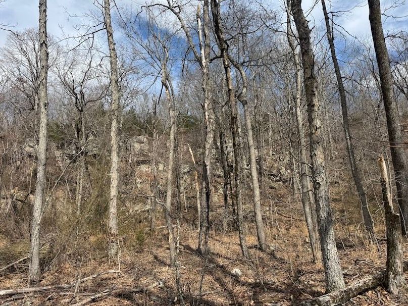 stone8020260306_0074