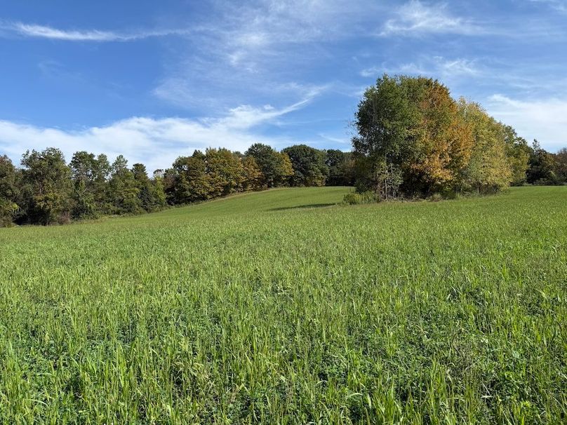 Cayuga_55.02_Herman Photo 52