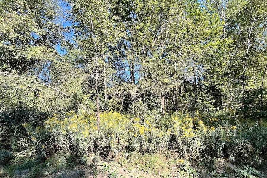 Chemung_10.725_Rouseland_Lot6_Photos_4